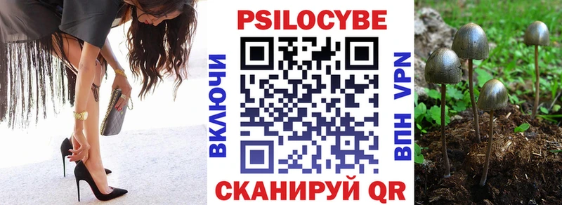 Псилоцибиновые грибы Cubensis  Хадыженск 